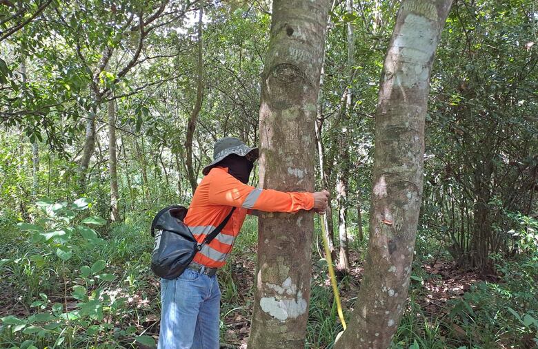 Tren Panamá–David: inicia el estudio de impacto ambiental de su primera fase