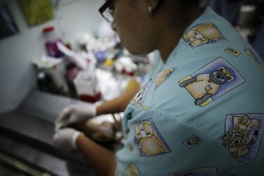 Informe revela deplorables condiciones de higiene en esterilizaciones en India