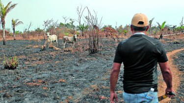 Autoridades, alerta por incendios forestales