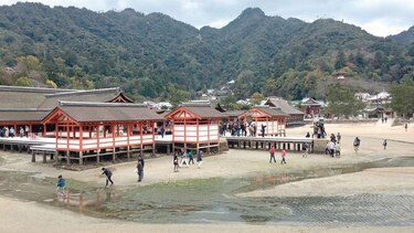 Naturaleza, fe y paz en la isla Itsukushima