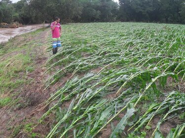 Desbordamiento del río Estivaná afecta vía de acceso en Macaracas