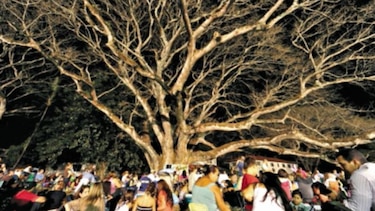 Oradores, danza y tambores