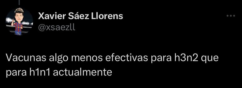 ¿Qué cepas de influenza afectan a Panamá?