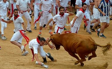 Activistas cuestionan duramente las fiestas de San Fermín