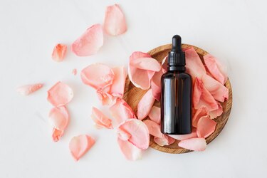 Canadá prohíbe el uso de animales para probar productos cosméticos