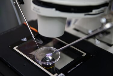 ¿Qué significa el fallo del Tribunal Supremo de Alabama para la fecundación ‘in vitro’?