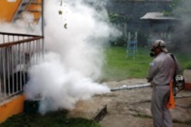 Ministerio de Salud confirma novena muerte por 'dengue grave'