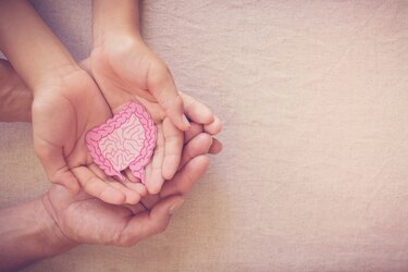 La importancia del eje intestino-cerebro en los niños en crecimiento y cómo la microbiota intestinal influye en esta conexión