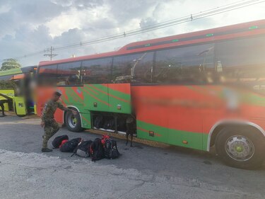 Decomisan siete paquetes con droga en un bus que transportaba migrantes hacia Costa Rica