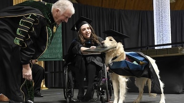 Perro de servicio recibe diploma de maestría en Nueva York
