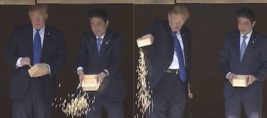 Donald Trump alimenta peces en Japón... a su estilo