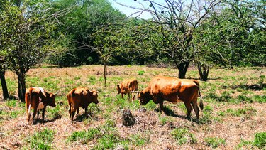 Un lugar para admirar la naturaleza