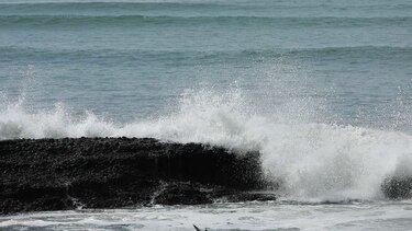 Emiten aviso por lluvias, posibles caídas de árboles y mar de fondo en el litoral Pacífico