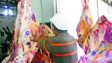Matadero chorrerano podría ser cerrado