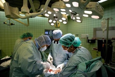 Realizan en Japón el primer trasplante de pulmón vivo a un niño de dos años