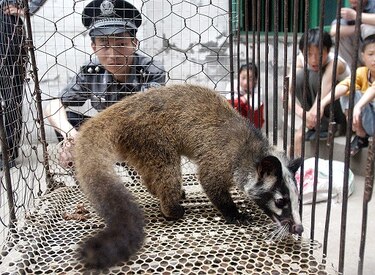 Estados Unidos anuncia que evacuará a sus ciudadanos del epicentro del coronavirus en China