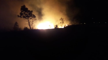 Brigadas Forestales Voluntarias: la primera línea de defensa de los bosques