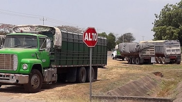Maiceros piden al MIDA que no ingrese maíz importado al mercado panameño