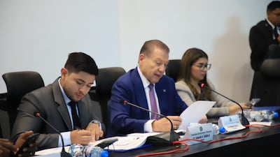 Primer debate del proyecto de ley de ‘sustancia económica’ iniciará el lunes 11 de mayo