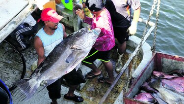 Por una pesca responsable