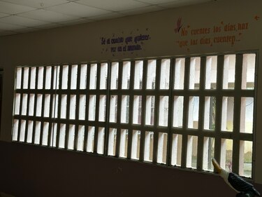 Del dolor al vuelo: la graduación de las mariposas