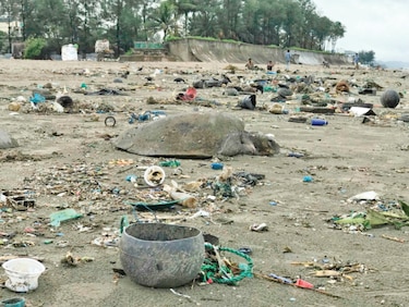 Al menos 20 tortugas mueren atrapadas por residuos plásticos