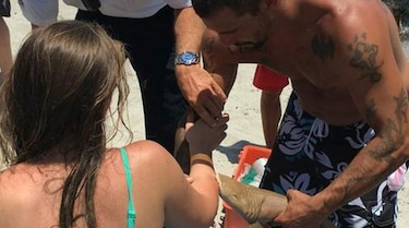 Mujer es llevada al hospital con tiburón prendido al brazo en Florida