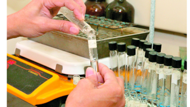 Confirman caso de virus hanta en niño de cinco años