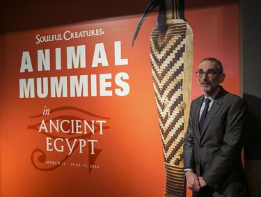 Museo de California exhibe momias de animales