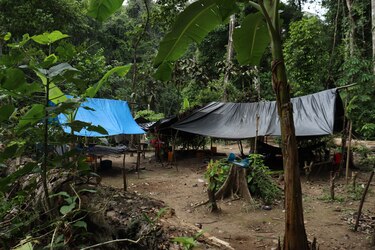 Río Chagres, Guna Yala y Darién están bajo la lupa por minería ilegal tras captura de colombianos