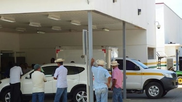 Ataque de abejas africanizadas deja un muerto en Los Santos