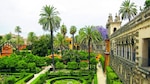 Las cajas vacías de Sevilla