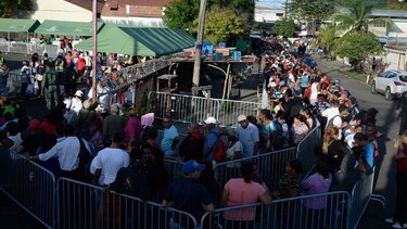 IMA garantiza compra de jamones navideños de producción nacional