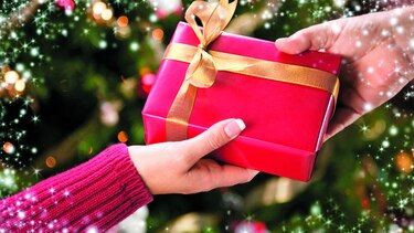 El regalo ideal para la Navidad