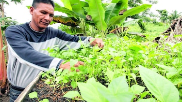 Platos a beneficio del patronato