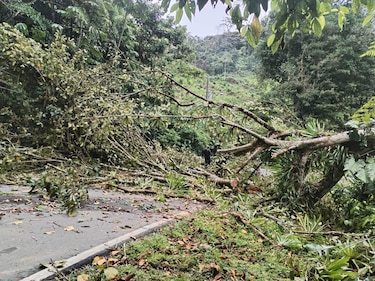 Bloqueos persisten en Bocas del Toro pese a despliegue de Operación Omega