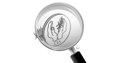 Sobre el uso de las reservas y venta de bonos del Estado del programa de IVM