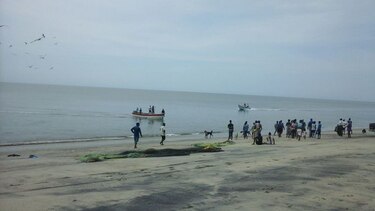 Hallan cuerpo sin vida de joven desaparecido en playa Farallón