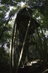 De visita en el bosque