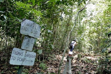 Movimiento Ciencia Panamá reacciona ante denuncias de acoso en el STRI   