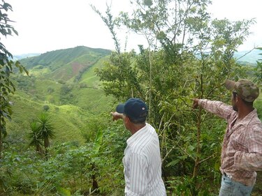 En Azuero piden creación de reserva para proteger alimento de la fauna local