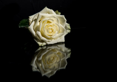 Descansa en paz Alba Luz Bernat de Vallarino
