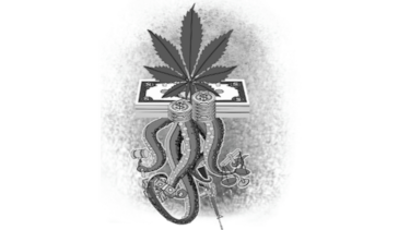 ¿Algún día se podrá ganar la guerra a los carteles de la droga?