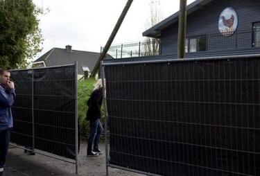 Holanda tiene su segundo caso de gripe aviar en una semana