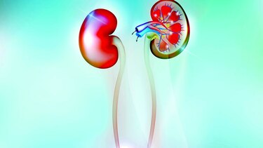 Lesión renal
