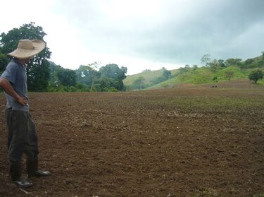 Falta de lluvias impide siembra de arroz de subsistencia en Azuero