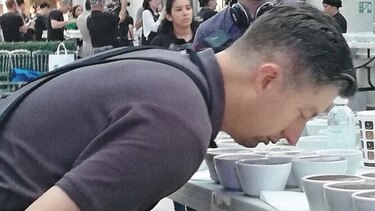Café panameño conquista a jueces internacionales