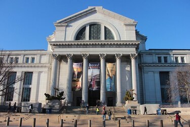 Orden ejecutiva de Trump busca recortar fondos al Smithsonian por ‘adoctrinamiento ideológico’