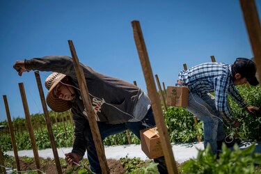 Latinos aumentan su participación en economía de Estados Unidos