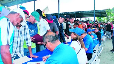 Se agrava el desempleo en la provincia de Bocas del Toro